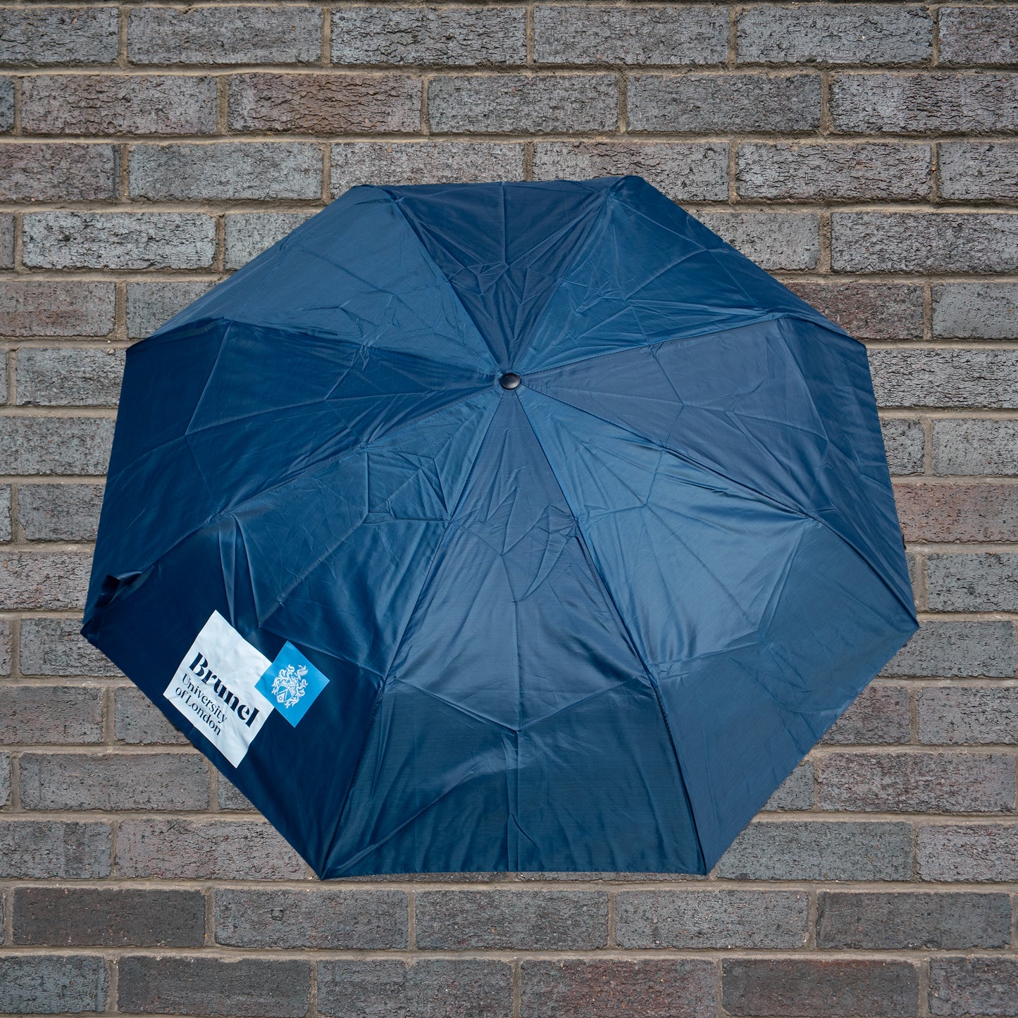 Brunel University of London Umbrella